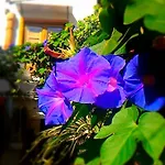 펜션 Cortile Suez San Giovanni Gemini