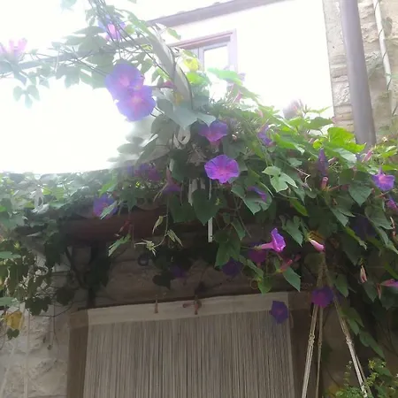 Cortile Suez