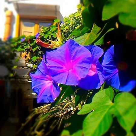 別荘 Cortile Suez San Giovanni Gemini