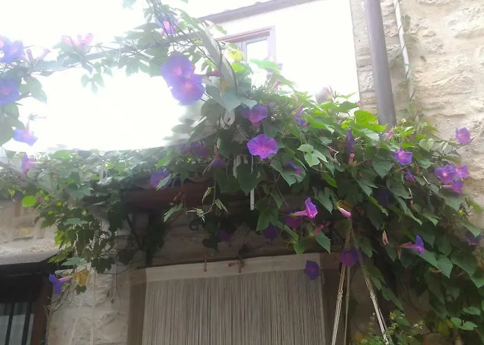 Cortile Suez